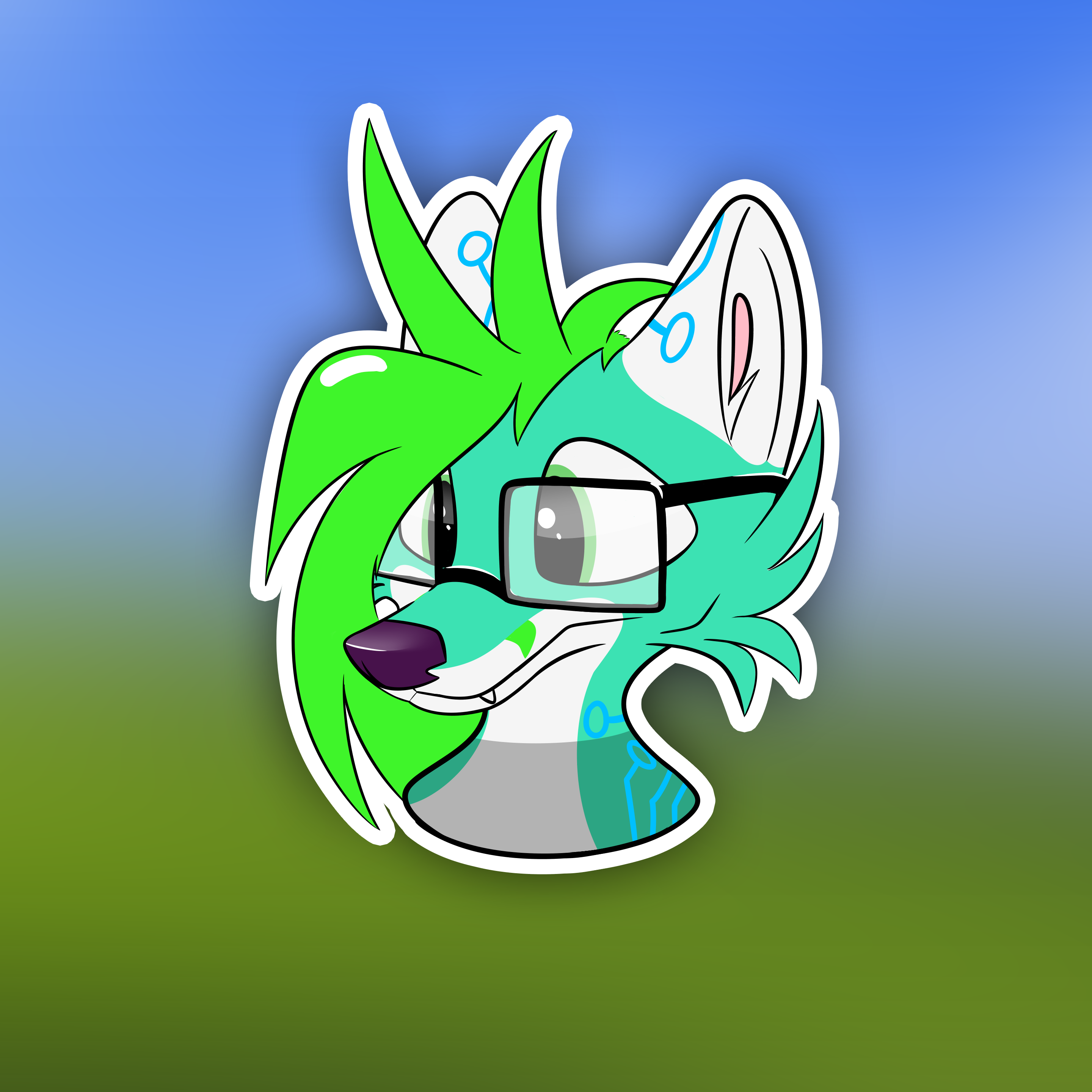 Edepol Warm-up headshot.png